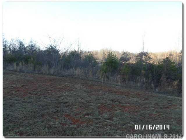 5324 Hope Road Vale, NC 28168 - Photo 3 of 13