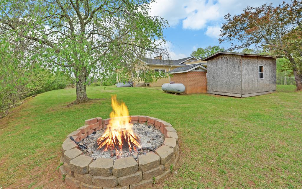 2465 Blue Ridge Drive Blue Ridge, GA 30513 - Photo 56 of 60