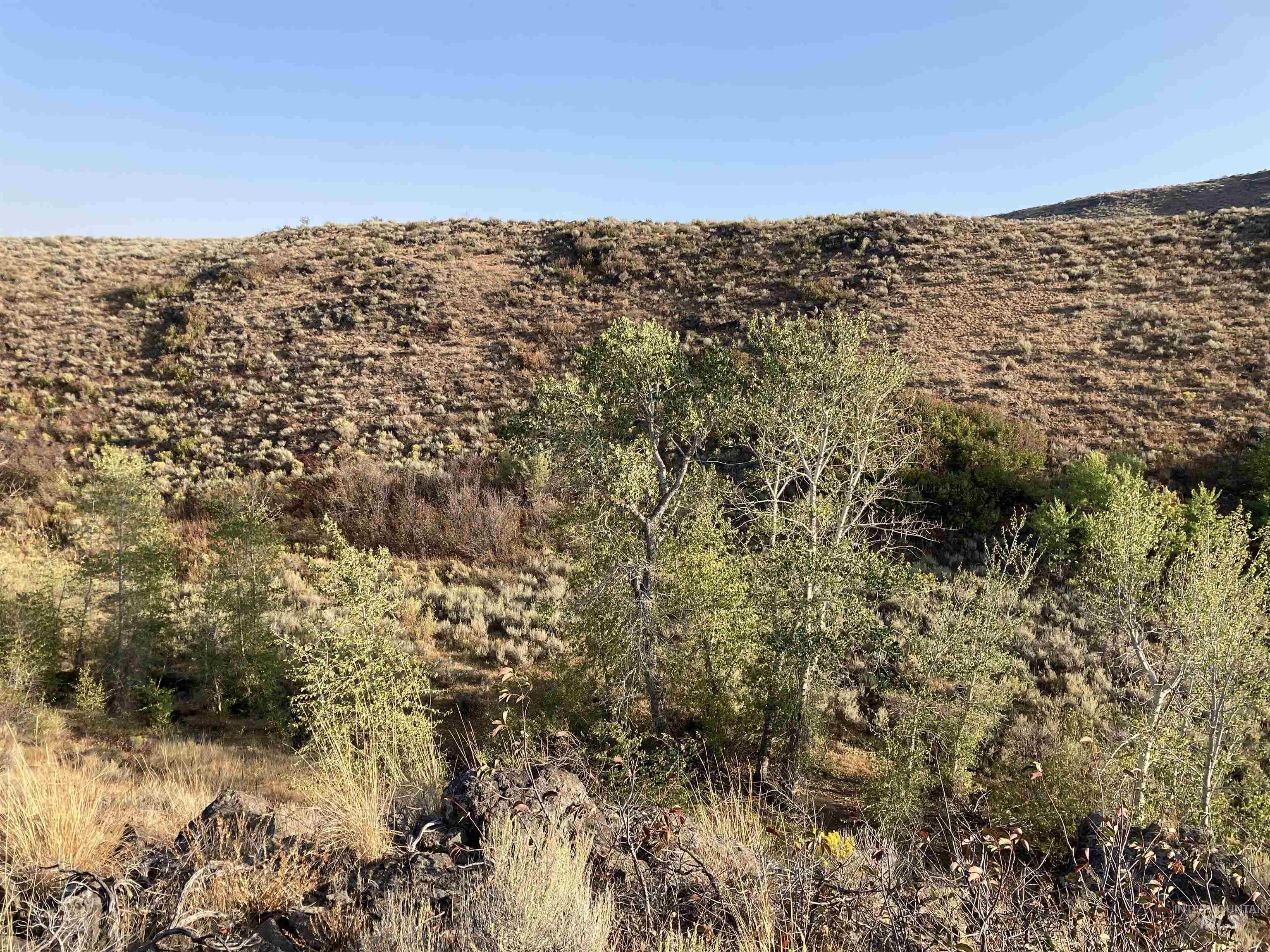 Poison Creek Road Bellevue, ID 83313 - Photo 4 of 18 Gallery Image 4