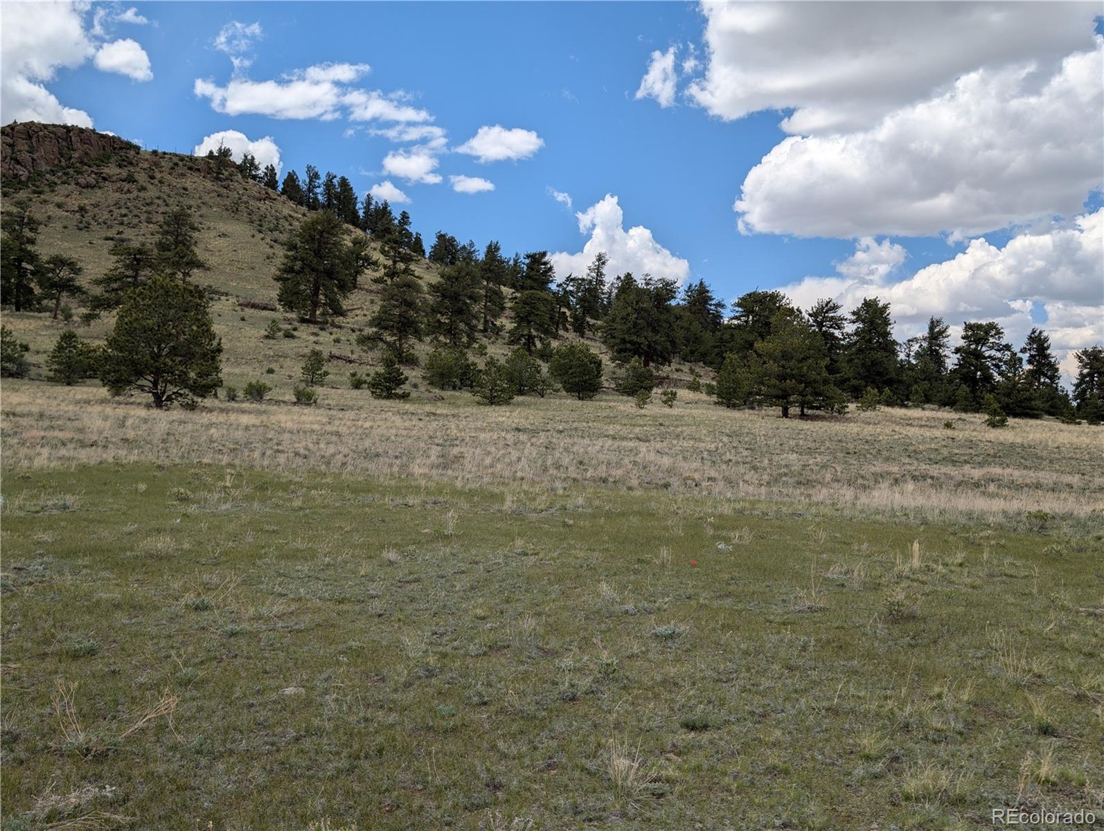 Black Beaver/keechi Road Hartsel, CO 80449 - Photo 13 of 28 Gallery Image 13