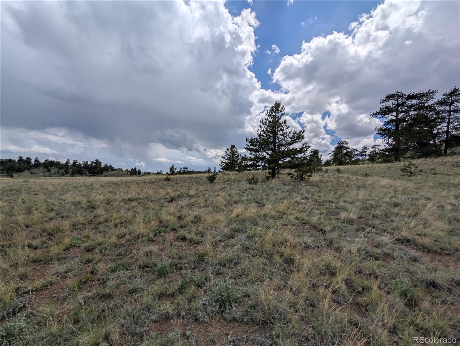 Black Beaver/keechi Road Hartsel, CO 80449 - Photo 20 of 28 Gallery Image 20
