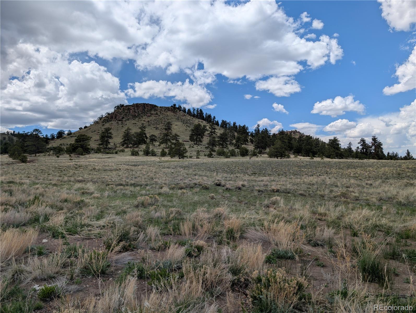 Black Beaver/keechi Road Hartsel, CO 80449 - Photo 28 of 28 Gallery Image 28
