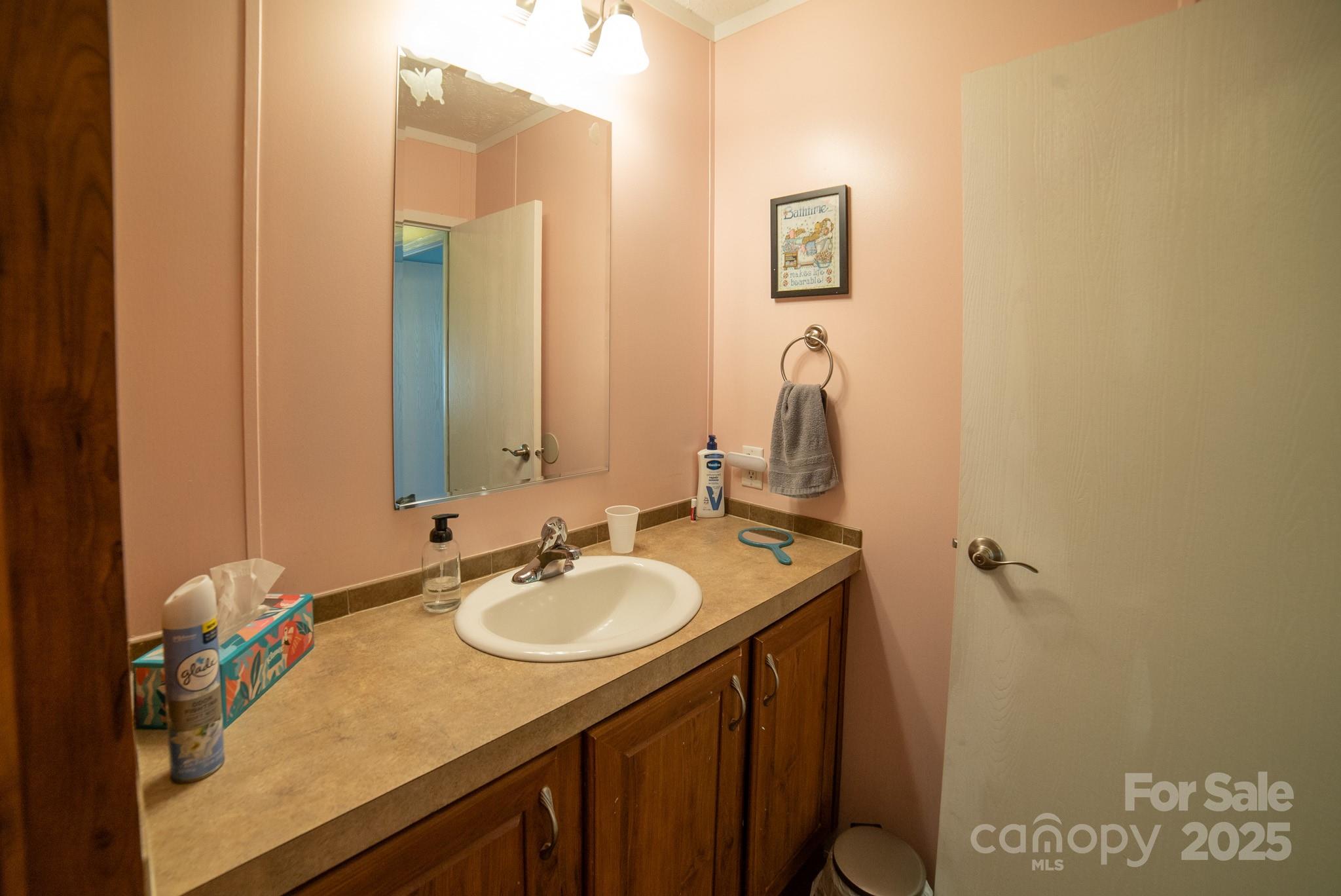 3122 Vance Denton Road Morganton, NC 28655 - Photo 26 of 42 a bathroom with a sink and a mirror