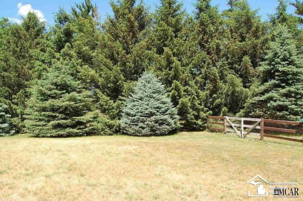 8416 Covert Road Petersburg, MI 49270 - Photo 6 of 30
