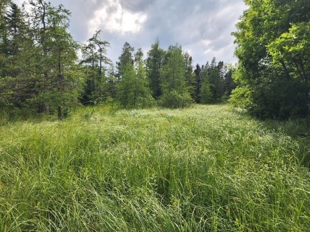 6565 Lynch Bridge Road Siren, WI 54872 - Photo 22 of 60