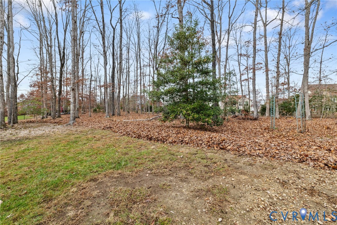 16112 Garston Lane Midlothian, VA 23112 - Photo 34 of 37 a view of outdoor space with trees