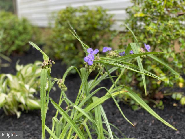 1017 Whitehall Road Newfield, NJ 08344 - Photo 8 of 56