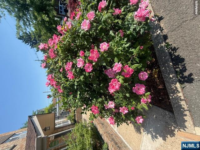 490 Union Avenue Rutherford, NJ 07070 - Photo 4 of 11 a view of yard with flowers and flowers