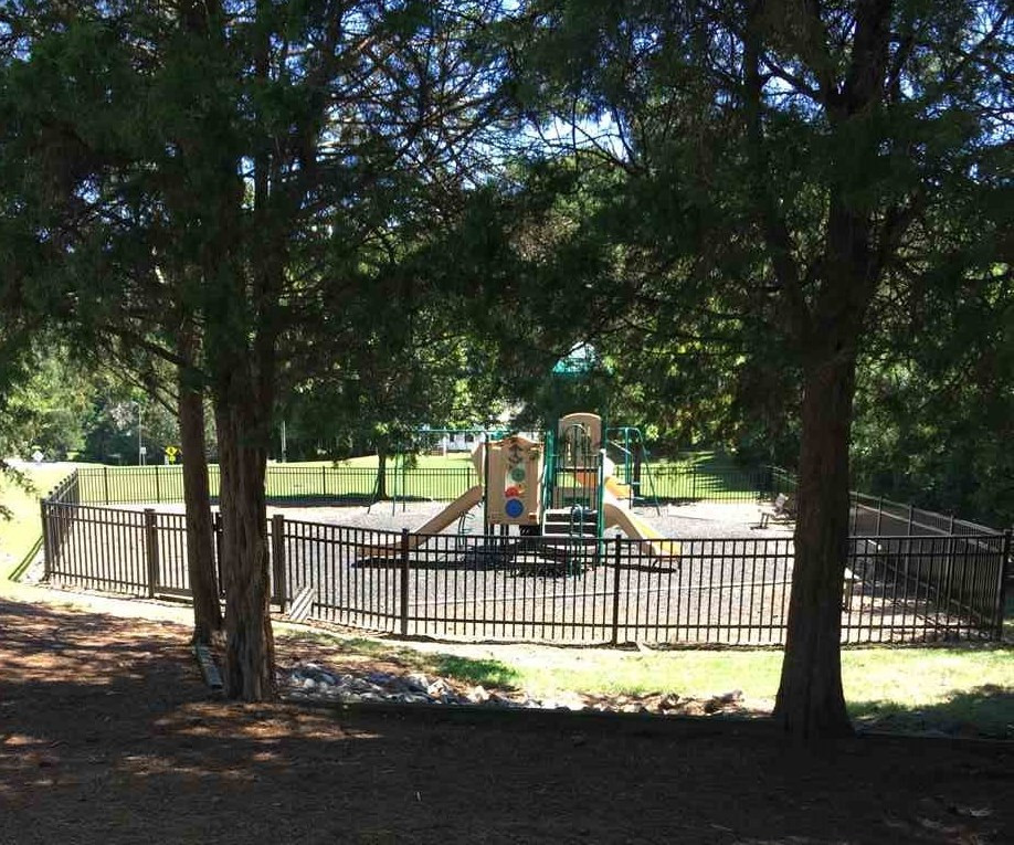 3209 Eagle Trail Raleigh, NC 27615 - Photo 22 of 24 Community Playground