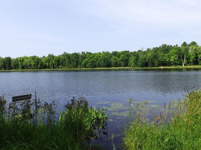 8621 Murphy Lake Road Presque Isle, WI 54557 - Photo 16 of 20 Gallery Image 16