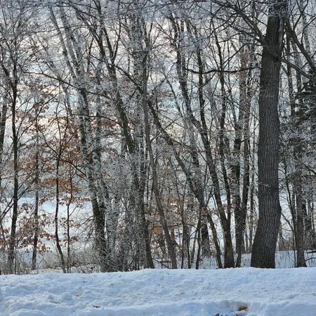 $125,000 | Lot 8-block 1/2 Avenue, St. Stephen, MN 56375