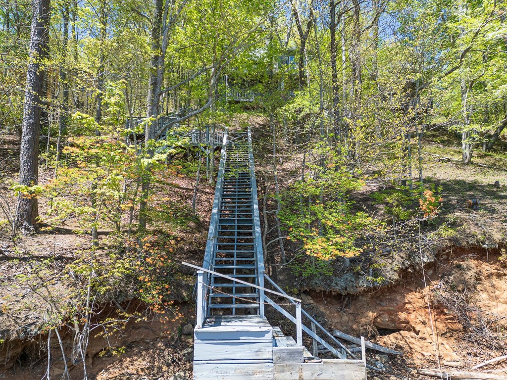 415 Lonesome Pine Road Murphy, NC 28906 - Photo 68 of 87 Gallery Image 68