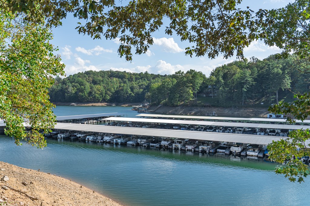 415 Lonesome Pine Road Murphy, NC 28906 - Photo 80 of 87 Gallery Image 80