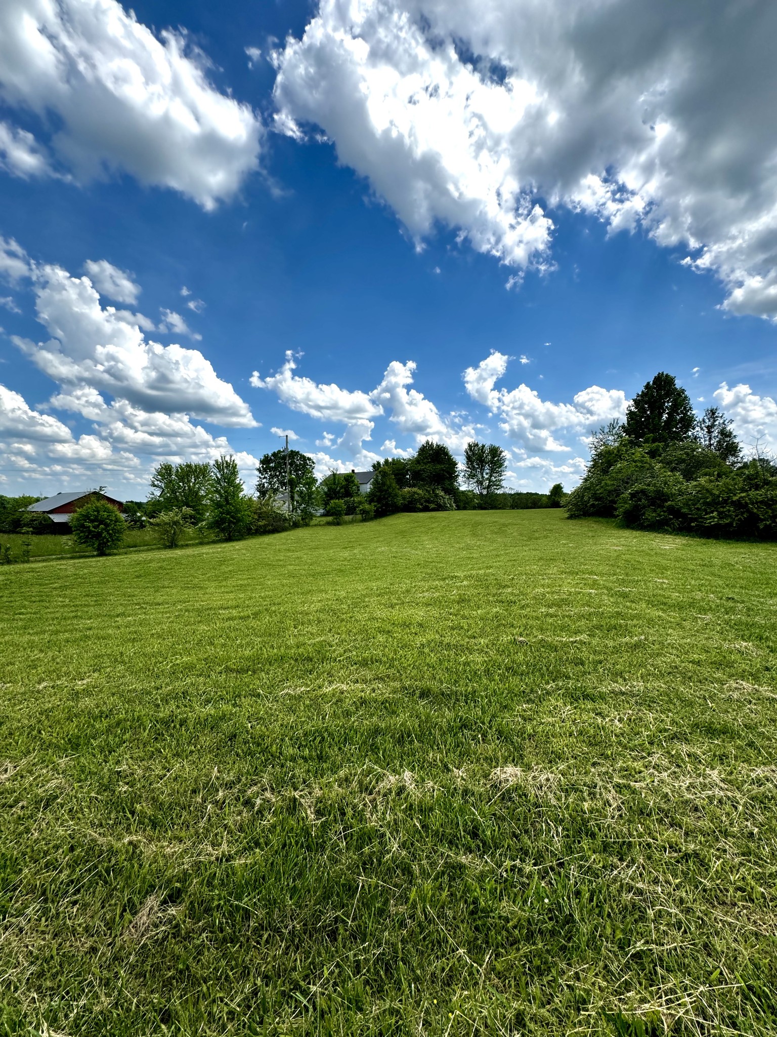 2423 Rhea Branch Road Ethridge, TN 38456 - Photo 3 of 11 Gallery Image 3