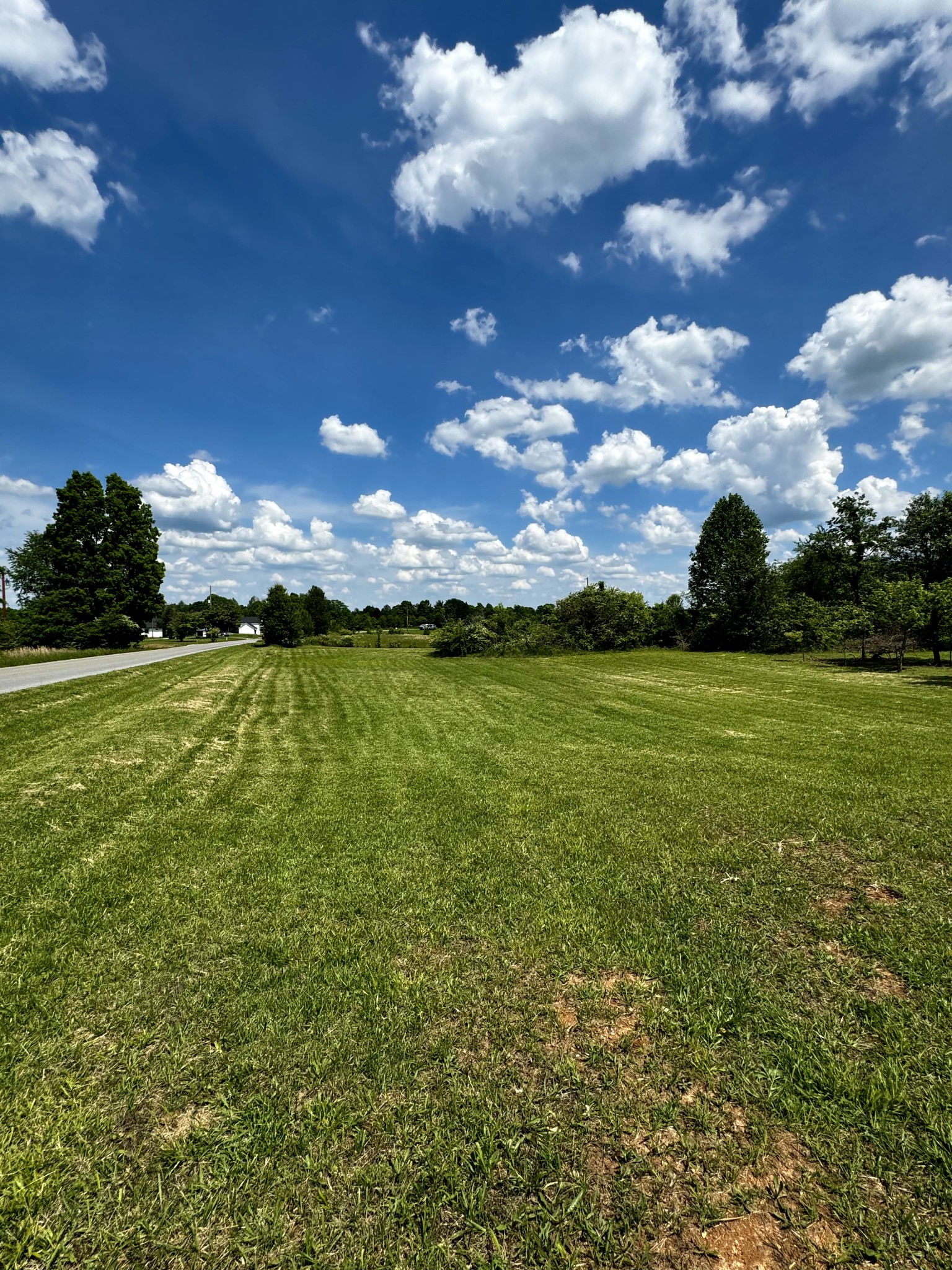 2423 Rhea Branch Road Ethridge, TN 38456 - Photo 4 of 11 Gallery Image 4