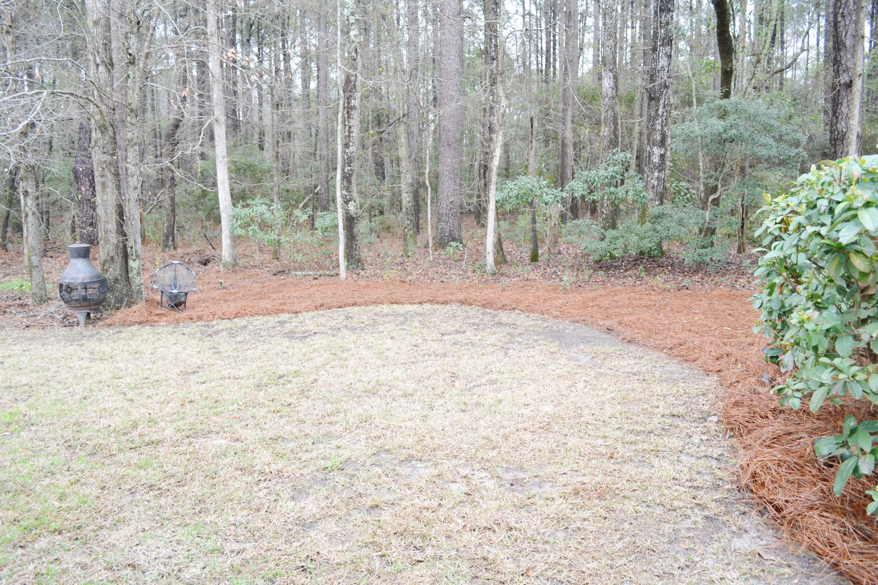 1698 Bee Balm Road Johns Island, SC 29455 - Photo 21 of 23 DSC_0416.JPG