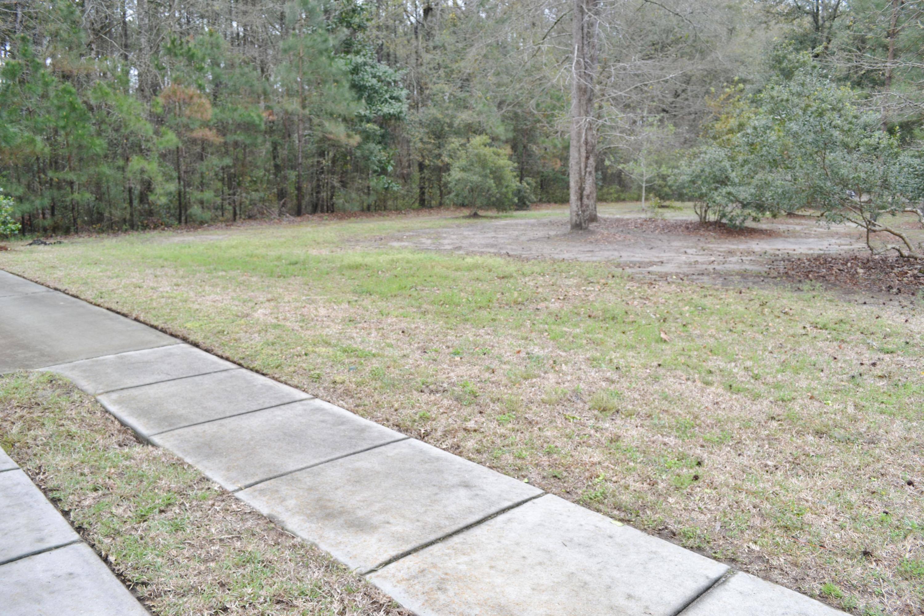 1698 Bee Balm Road Johns Island, SC 29455 - Photo 23 of 23 DSC_0446.JPG