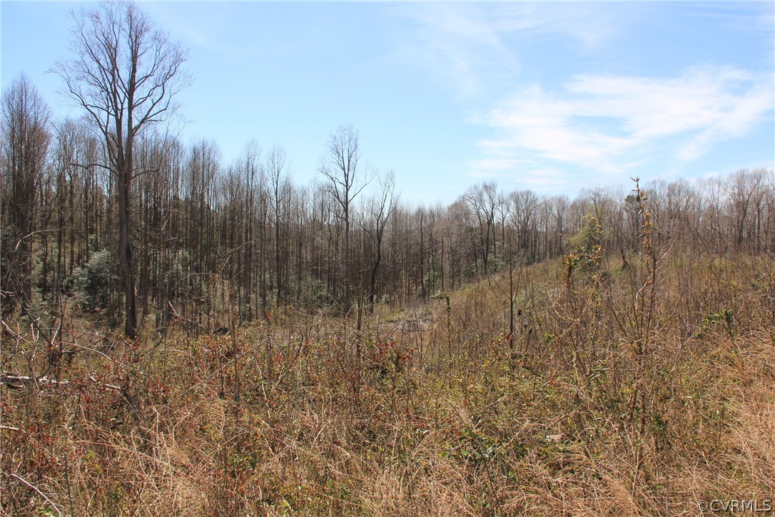 0 Spring Hill Road Warsaw, VA 22572 - Photo 17 of 22 Gallery Image 17