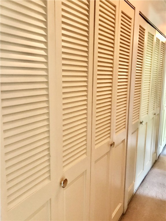 3335 Nevada Road Decatur, IL 62522 - Photo 15 of 46 Wall of storage closets in hall