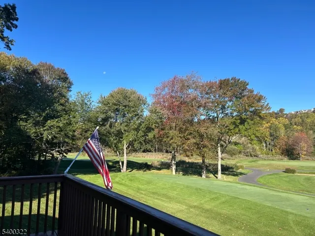 a view of a backyard with large trees