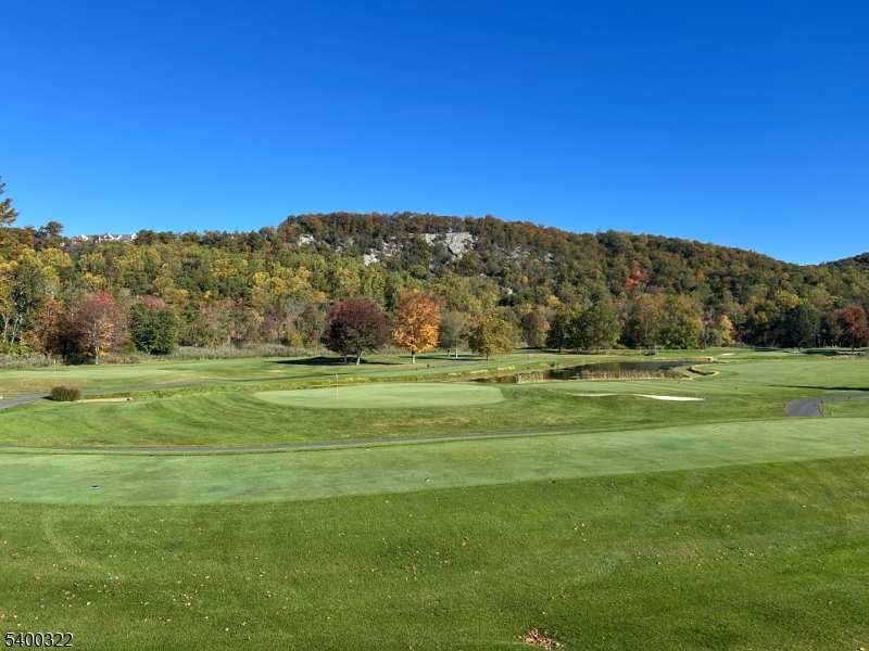 38 Goldfinch Drive Hackettstown, NJ 07840 - Photo 29 of 30 a view of a grassy field with mountains in the background
