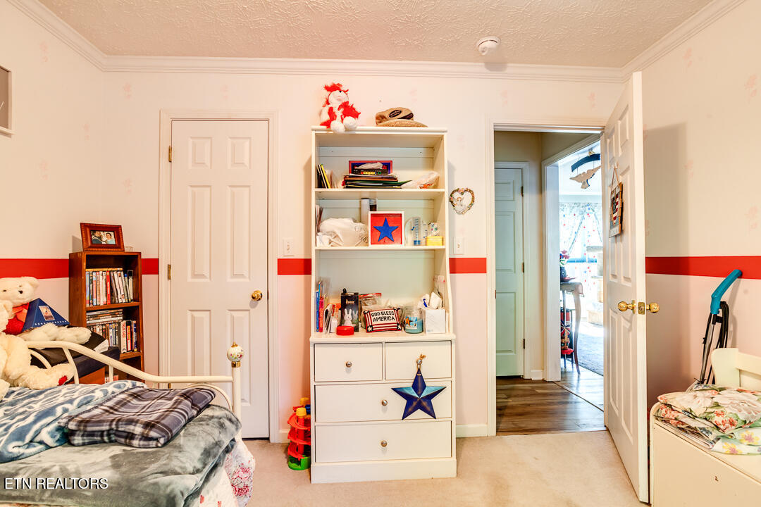 8208 Spruceland Road Powell, TN 37849 - Photo 17 of 27 018240813-1-8208SprucelandrdPowellTn-SCR