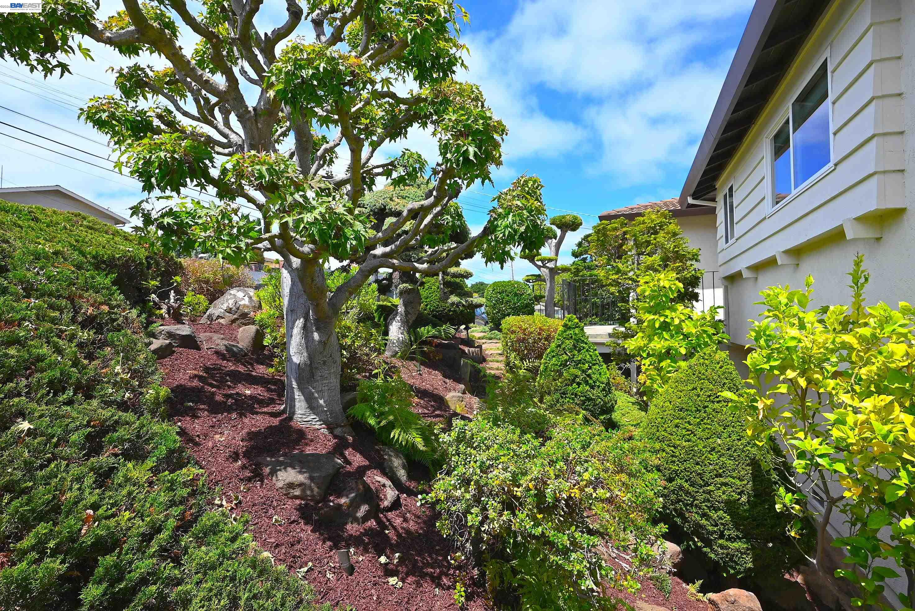 21714 ShadySpring Road Castro Valley, CA 94546 - Photo 7 of 53