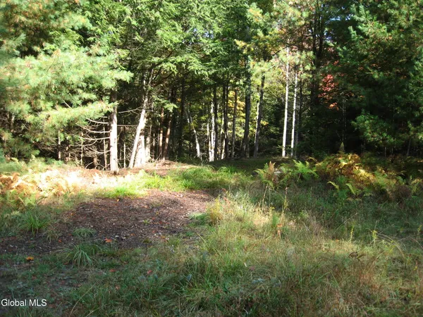 $49,000 | 14 Granite Ridge Road, Chester, NY 12817