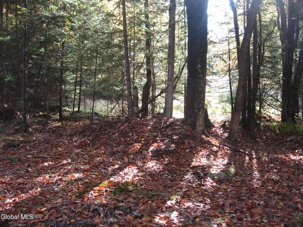 $49,000 | 14 Granite Ridge Road, Chester, NY 12817