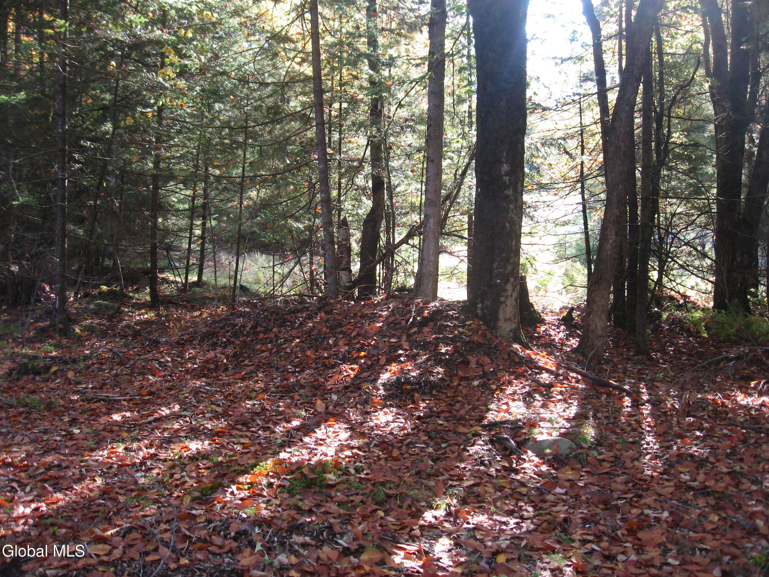 14 Granite Ridge Road Chester, NY 12817 - Photo 2 of 6 IMG_9094