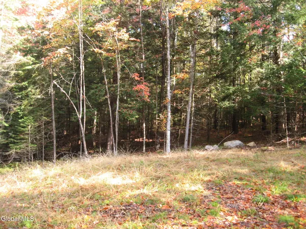 $49,000 | 14 Granite Ridge Road, Chester, NY 12817