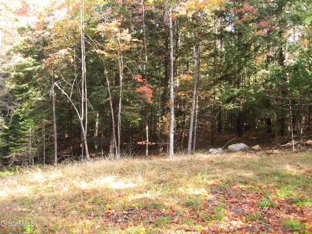 $49,000 | 14 Granite Ridge Road, Chester, NY 12817