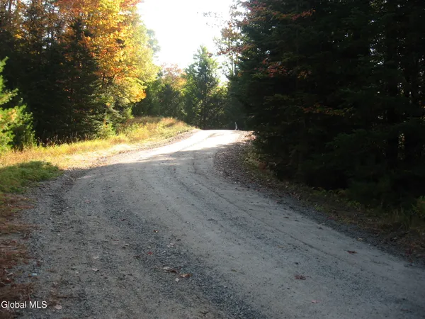 $49,000 | 14 Granite Ridge Road, Chester, NY 12817