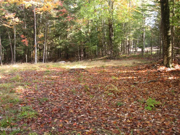 $49,000 | 14 Granite Ridge Road, Chester, NY 12817