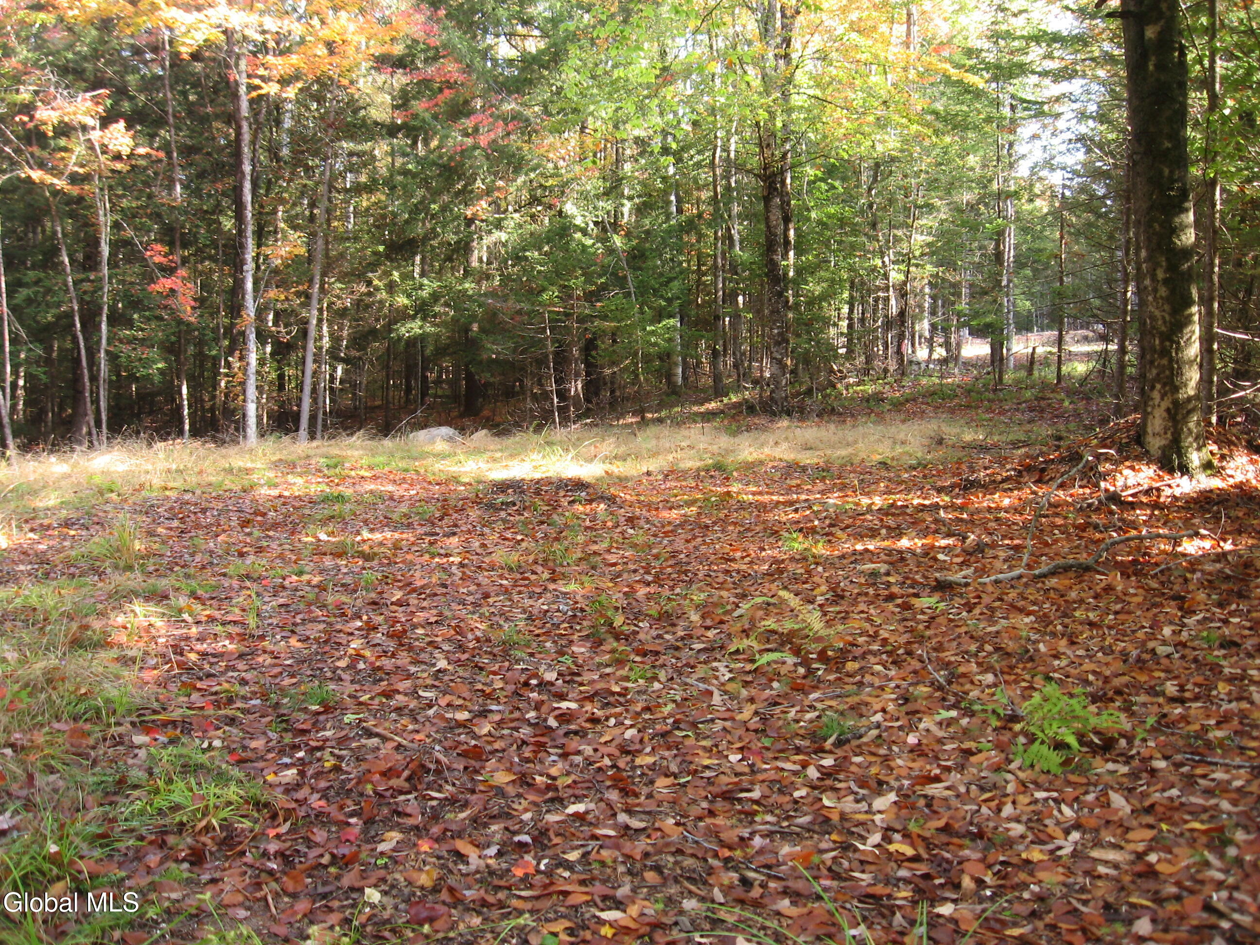 14 Granite Ridge Road Chester, NY 12817 - Photo 6 of 6 IMG_9091