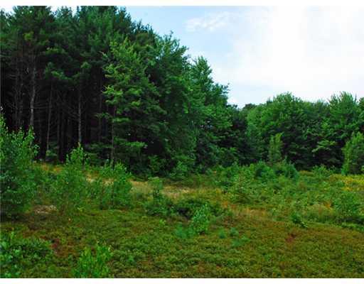 40 B Colley Hill Road Gray, ME 04039 - Photo 2 of 10 Land.