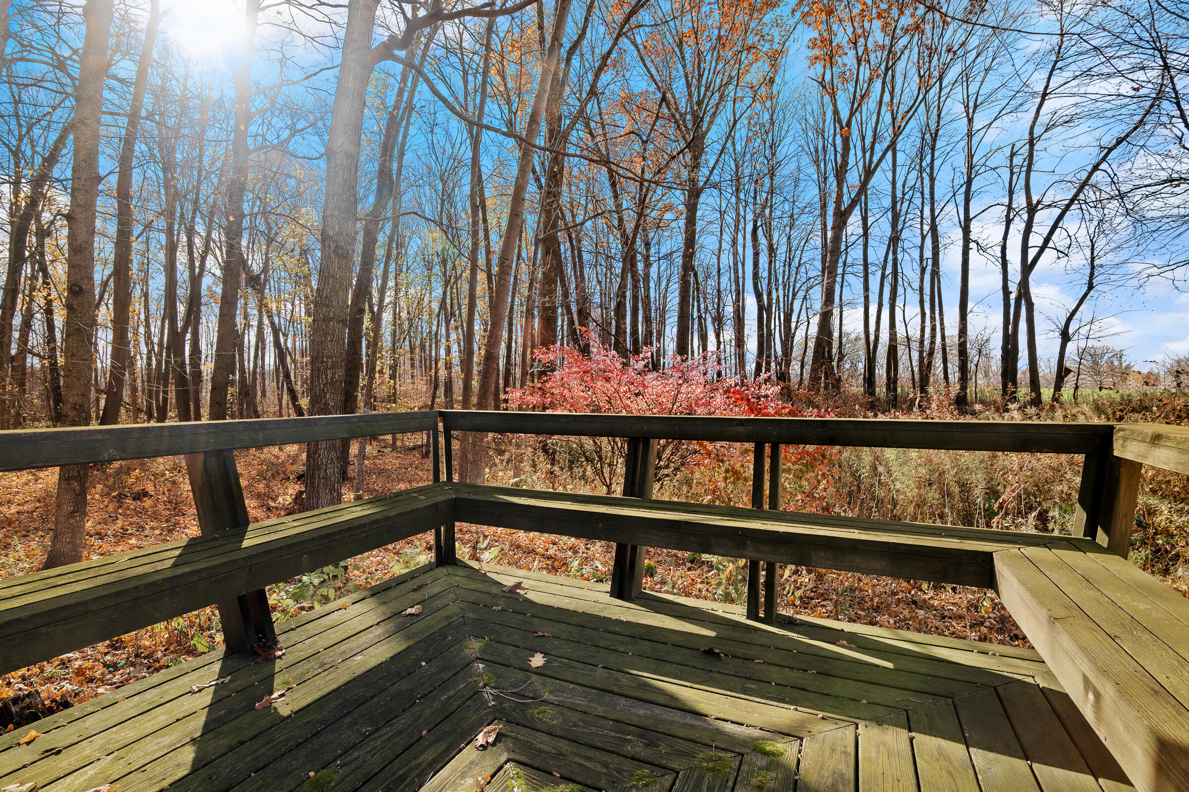 N6720 Hillside Road Sheboygan Falls, WI 53085 - Photo 20 of 28 360 Degree Wooded Views