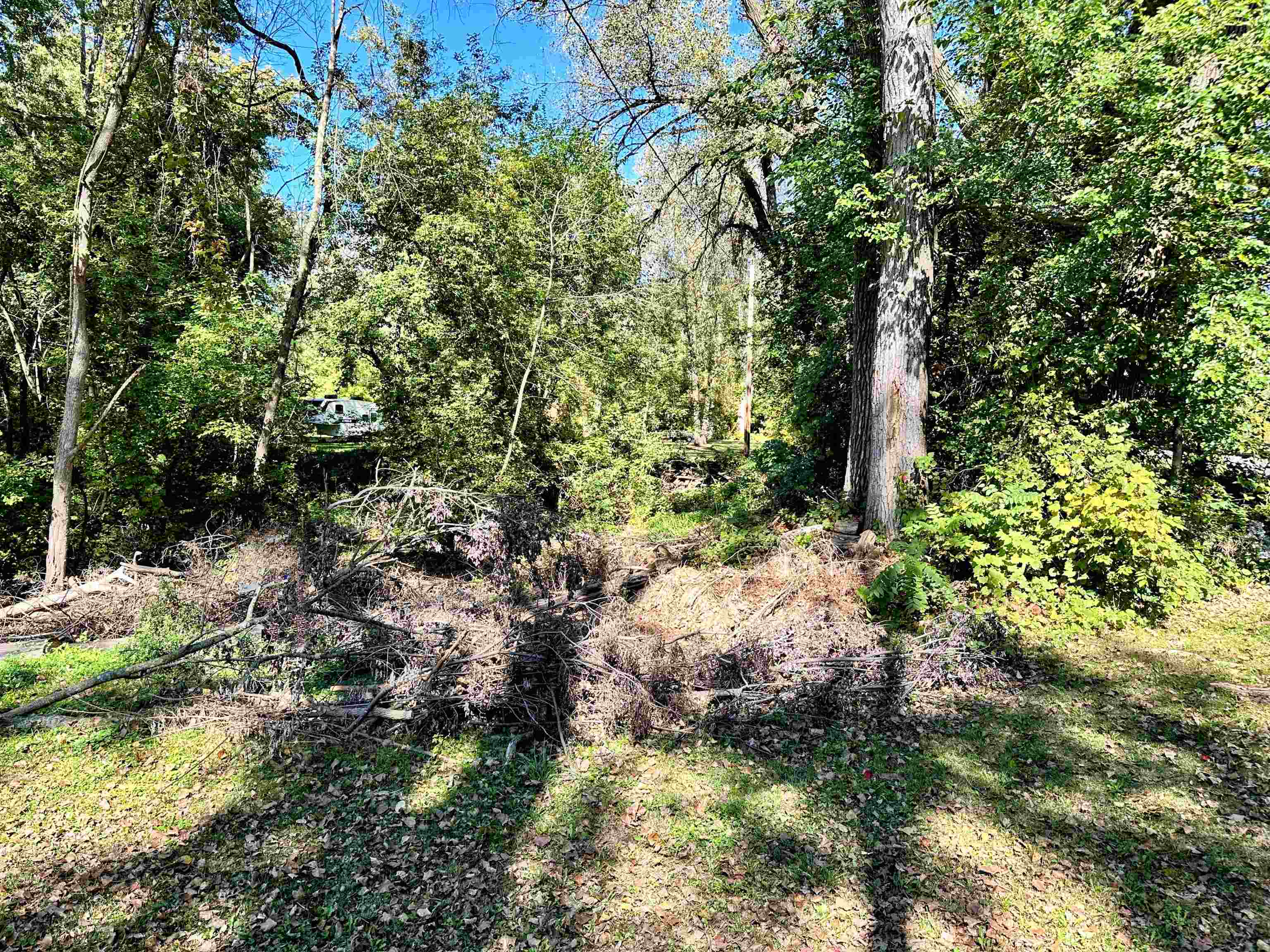 27 Acres Bagley, WI 53801 - Photo 15 of 20