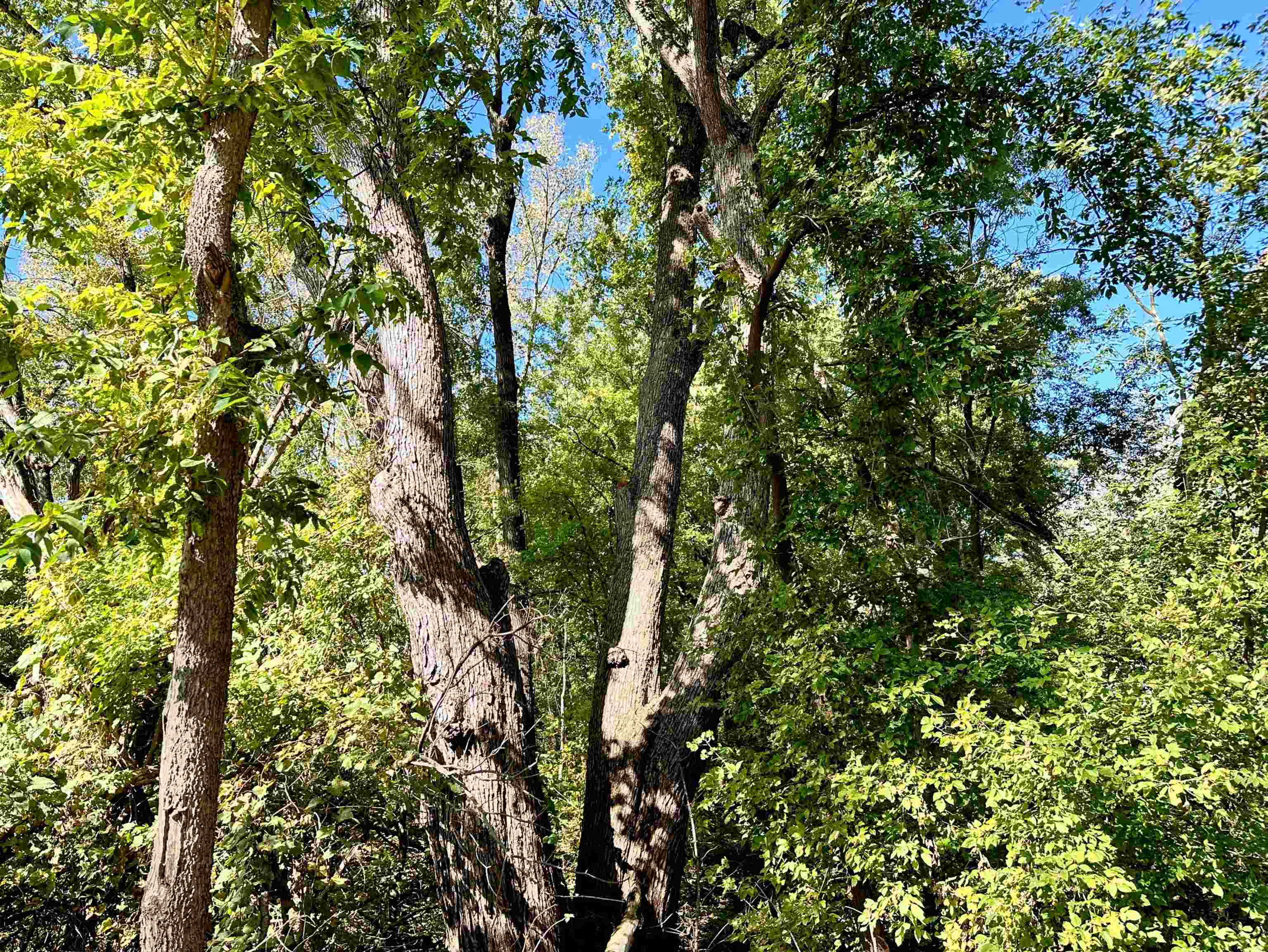 27 Acres Bagley, WI 53801 - Photo 5 of 20