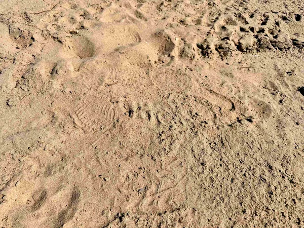 $49,000 | 27 Acres, Bagley, WI 53801