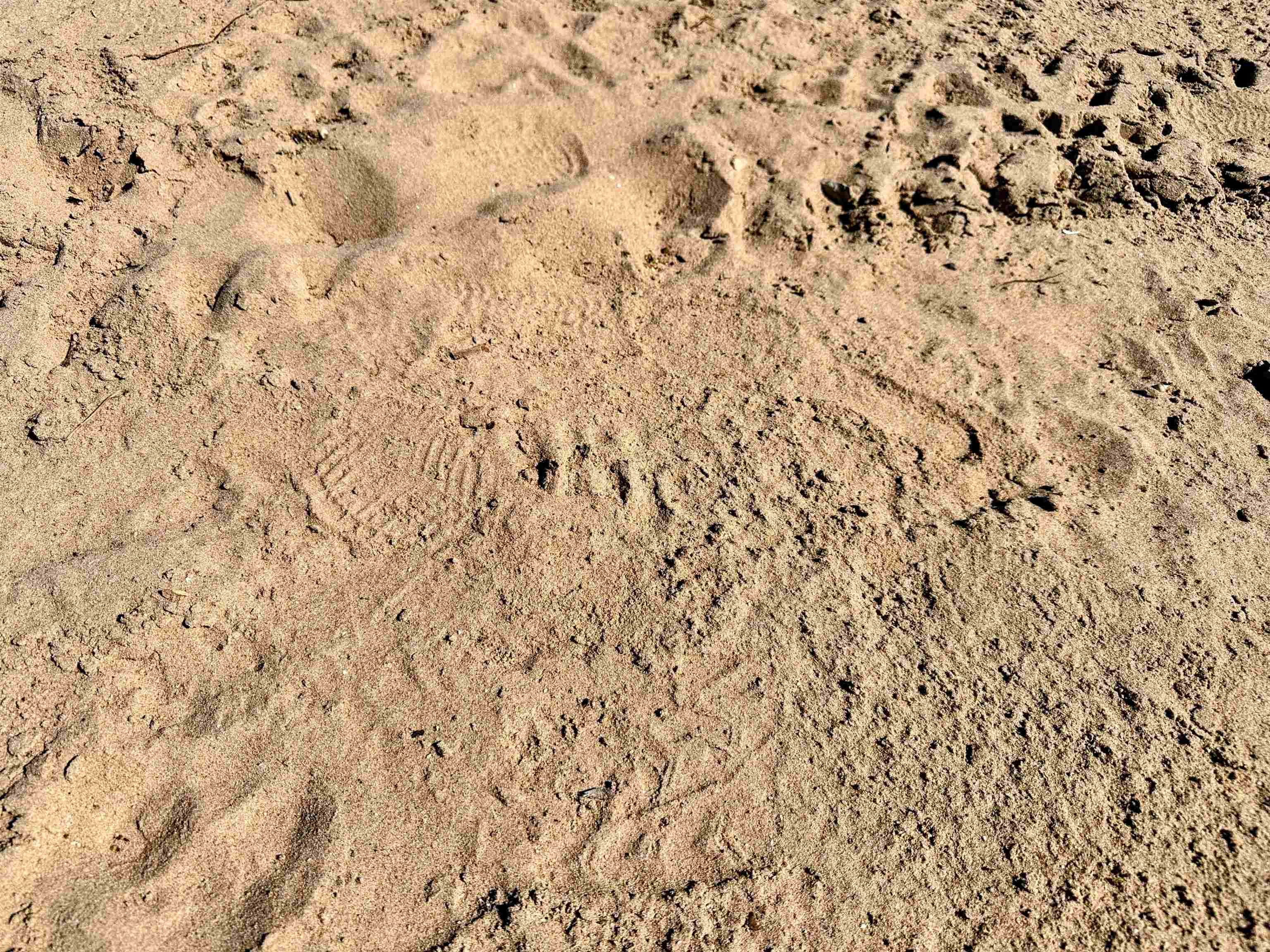 27 Acres Bagley, WI 53801 - Photo 9 of 20