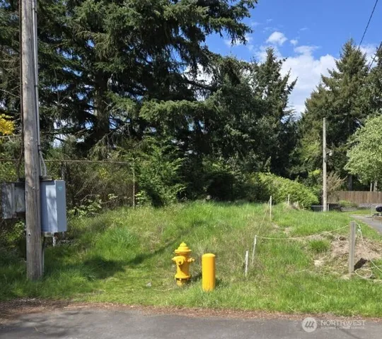 a view of a garden with a tree