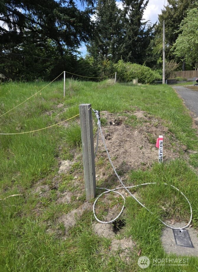 700 South 124th Street Burien, WA 98168 - Photo 2 of 12 a backyard of a house with lots of green space