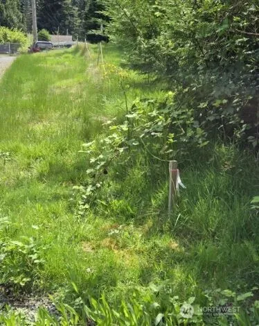 a fire hydrant in the middle of a field
