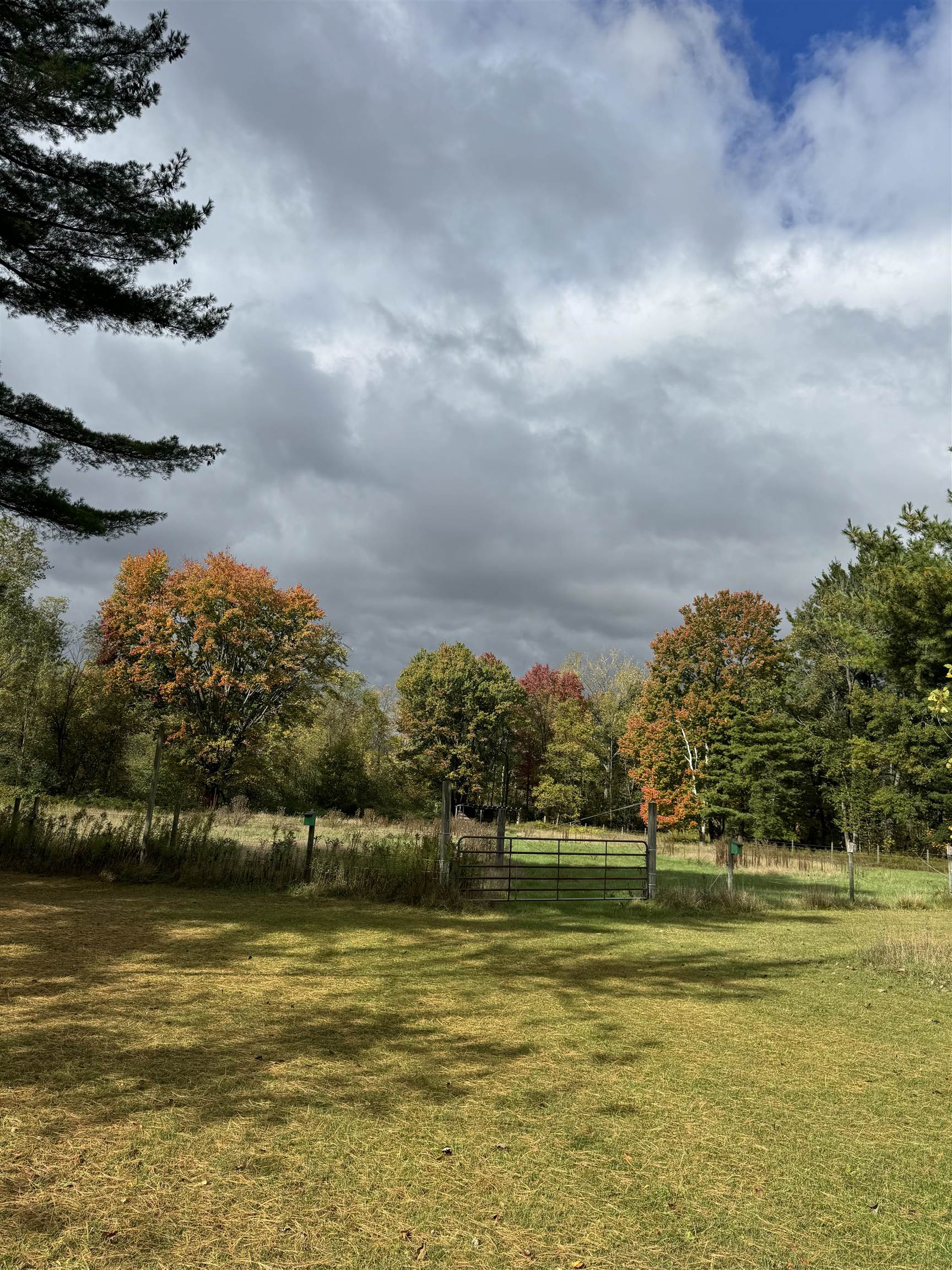 4121 Leggett Road Turner, MI 48765 - Photo 4 of 11 1939627-43008b23-c020-4054-a53f-a040a59bd116.JPG