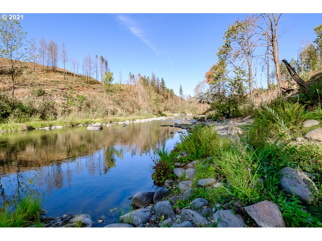 25307 Taylor Park Road Southeast Lyons, OR 97358 - Photo 14 of 25 Gallery Image 14