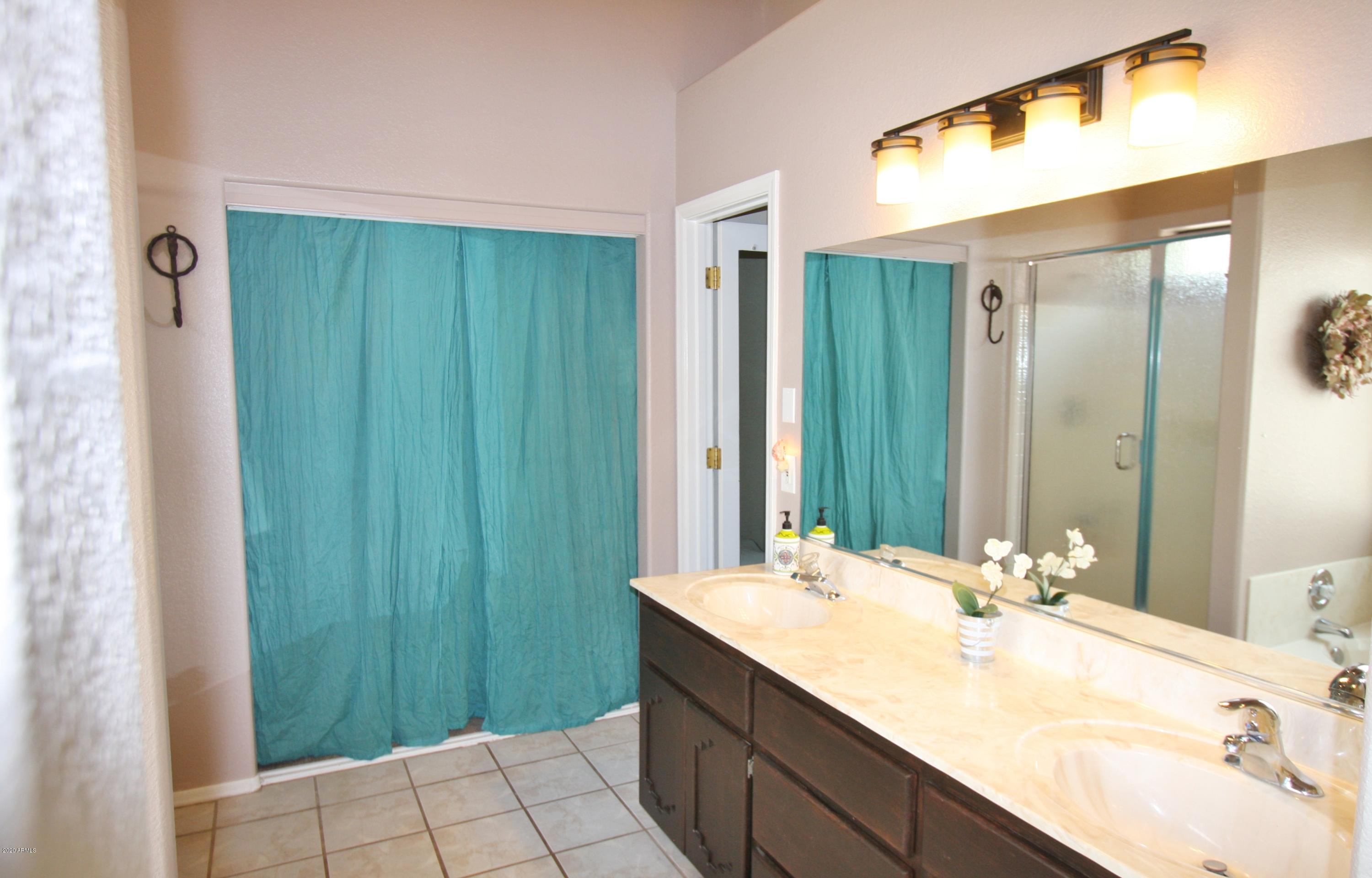 94 North Mountain View Road Apache Junction, AZ 85119 - Photo 20 of 27 OwnerBath1