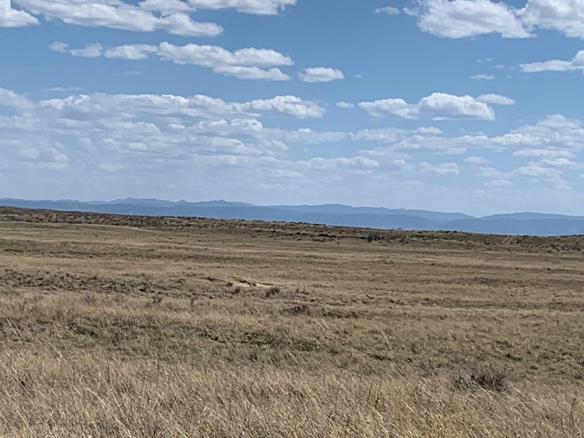 Bb Brooks Casper, WY 82601 - Photo 11 of 30