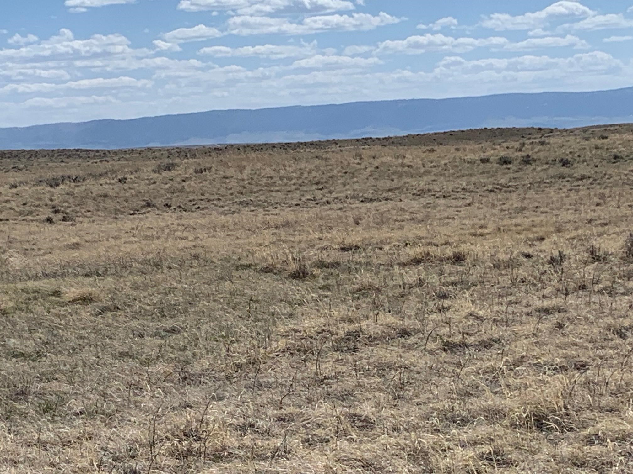 Bb Brooks Casper, WY 82601 - Photo 15 of 30