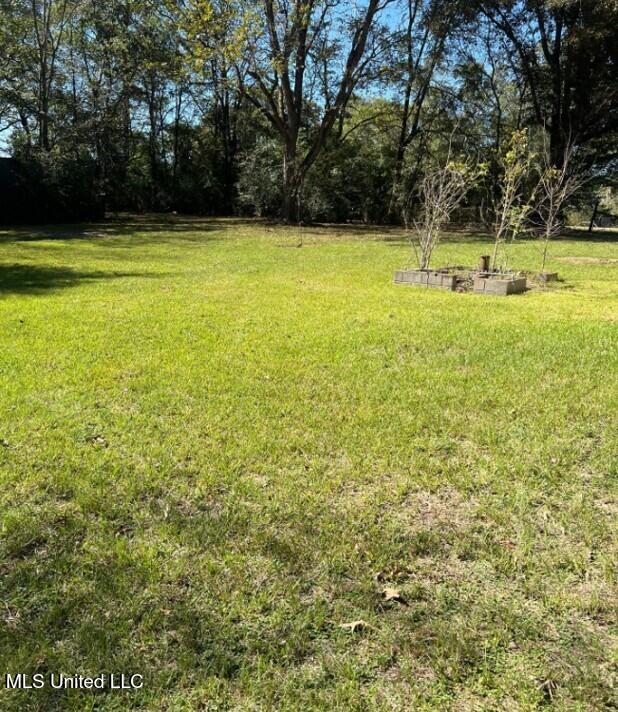 4145 Old Jackson Road Terry, MS 39170 - Photo 15 of 15 Picture16